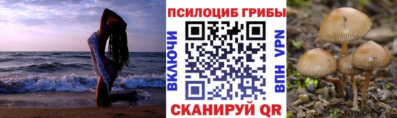 Псилоцибиновые грибы мухоморы  Купить закладки  Иркутск 